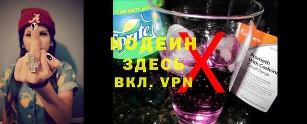 прущая мука Вяземский