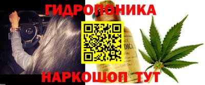 амф Берёзовский