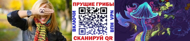 что такое наркотик  Дзержинский  Псилоцибиновые грибы MAGIC MUSHROOMS 