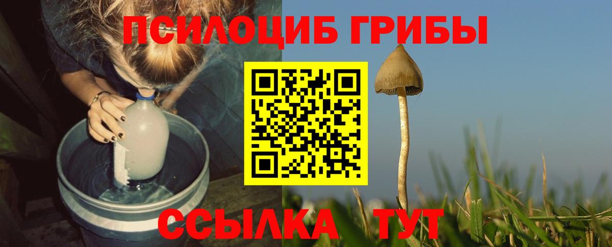 Галлюциногенные грибы Psilocybine cubensis Дзержинский